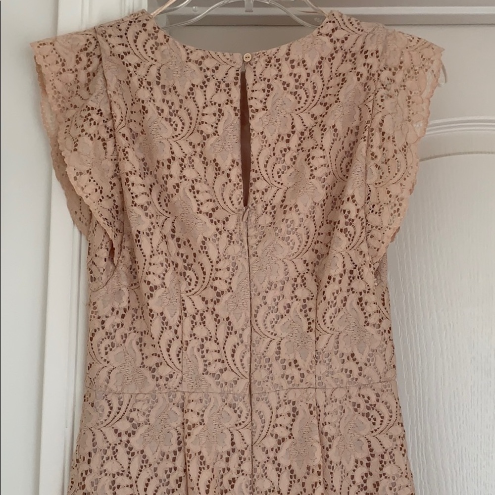 Zara Basic Nude Pink Lace Midi Dress View 5